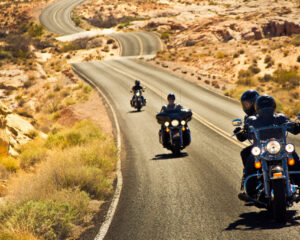 long and winding-road-eagle-rider-viva-moto