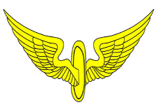 vivamoto-viav-moto-logo-yellow