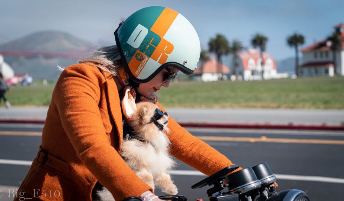 Woman riding a motorcycle during The Distinguished Gentleman’s Ride with a small dog secured in a harness, both wearing helmets, photographed on a sunny coastal road.