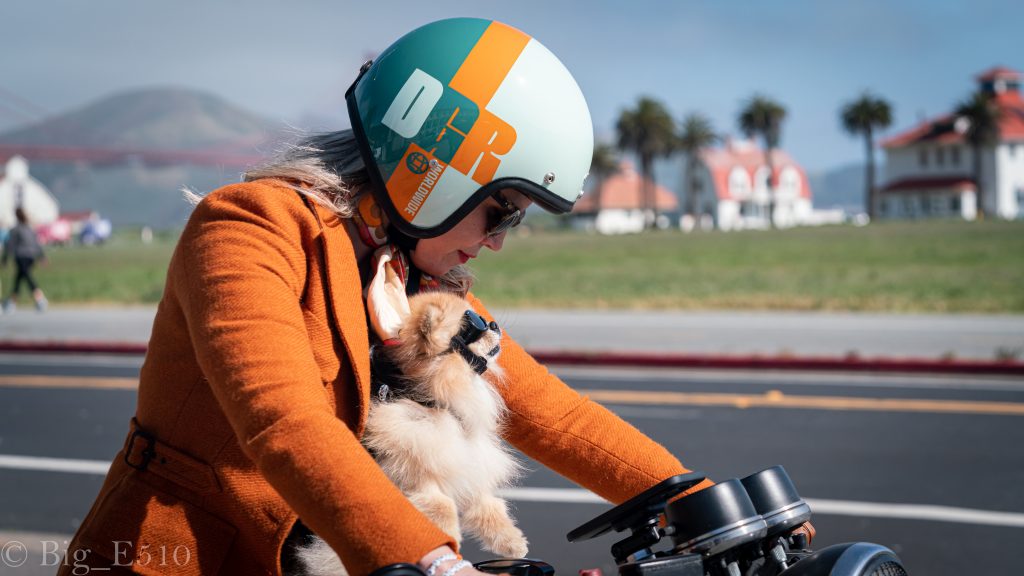 Woman riding a motorcycle during The Distinguished Gentleman’s Ride with a small dog secured in a harness, both wearing helmets, photographed on a sunny coastal road.
